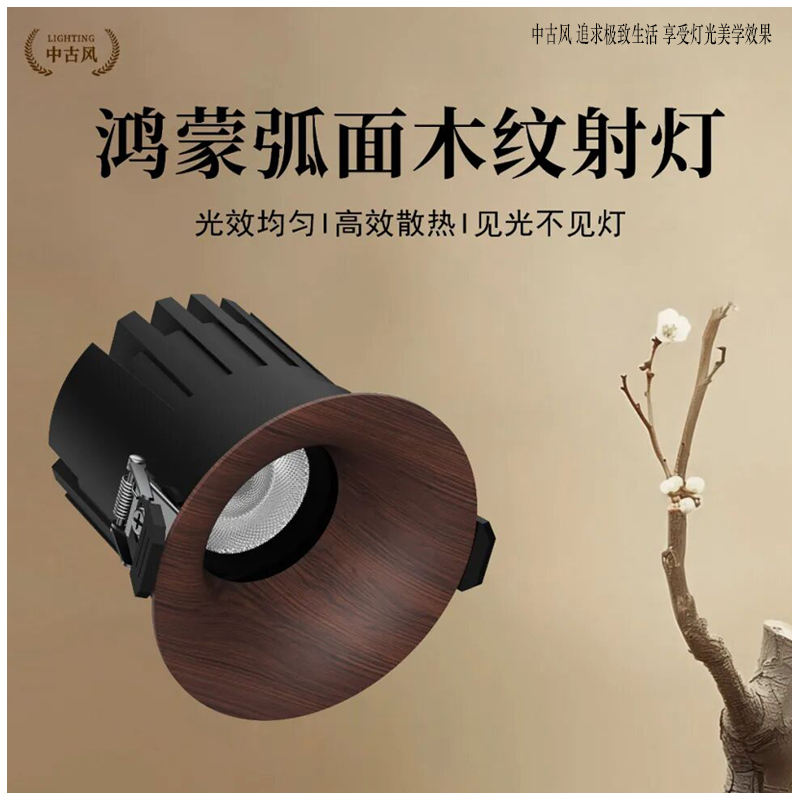 S5055YT鸿蒙 弧面射灯51.jpg