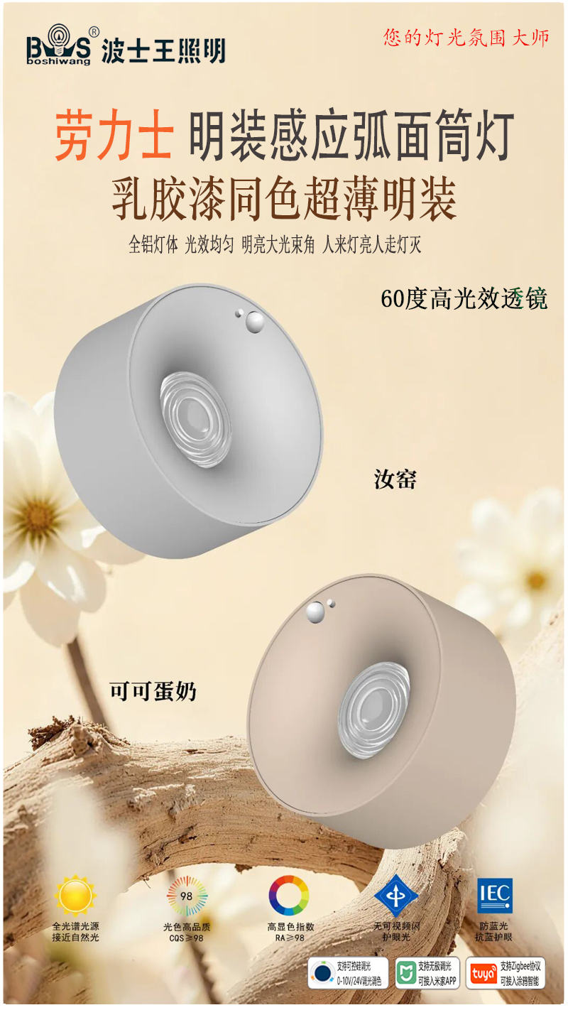 乳胶漆 劳力士 明装透镜 感应款1.jpg