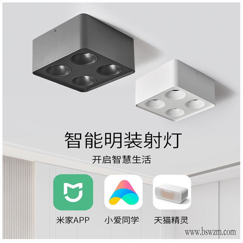 M717H1卡姿一代 明装 (1).jpg