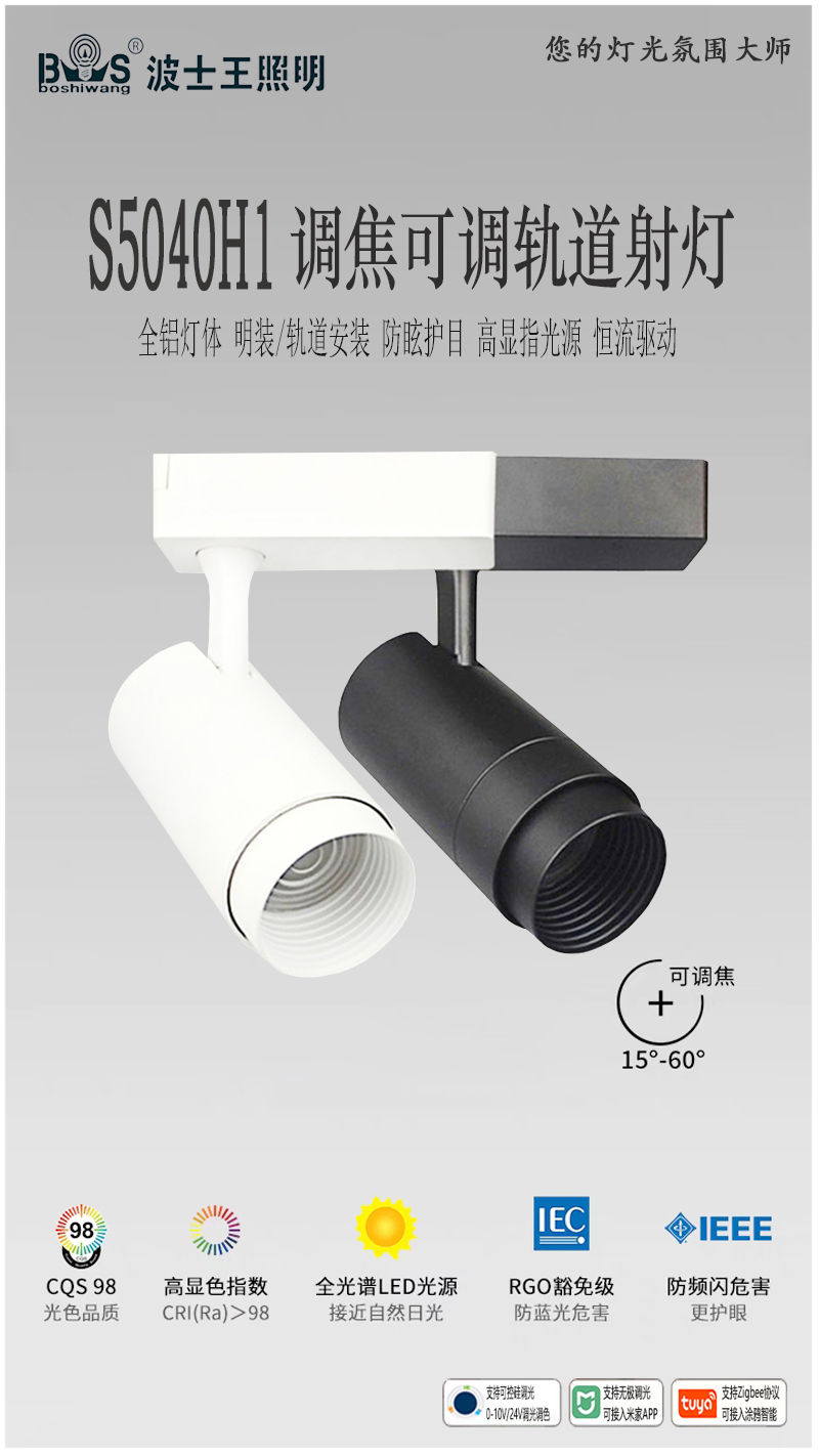 S5040H1调焦 轨道射灯.jpg