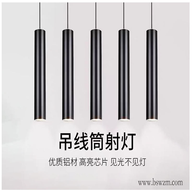 S5848GS圆形直筒 吊线筒射灯 (1).jpg