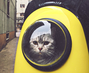 SAHUN胶粘剂：连接未来，创新无限