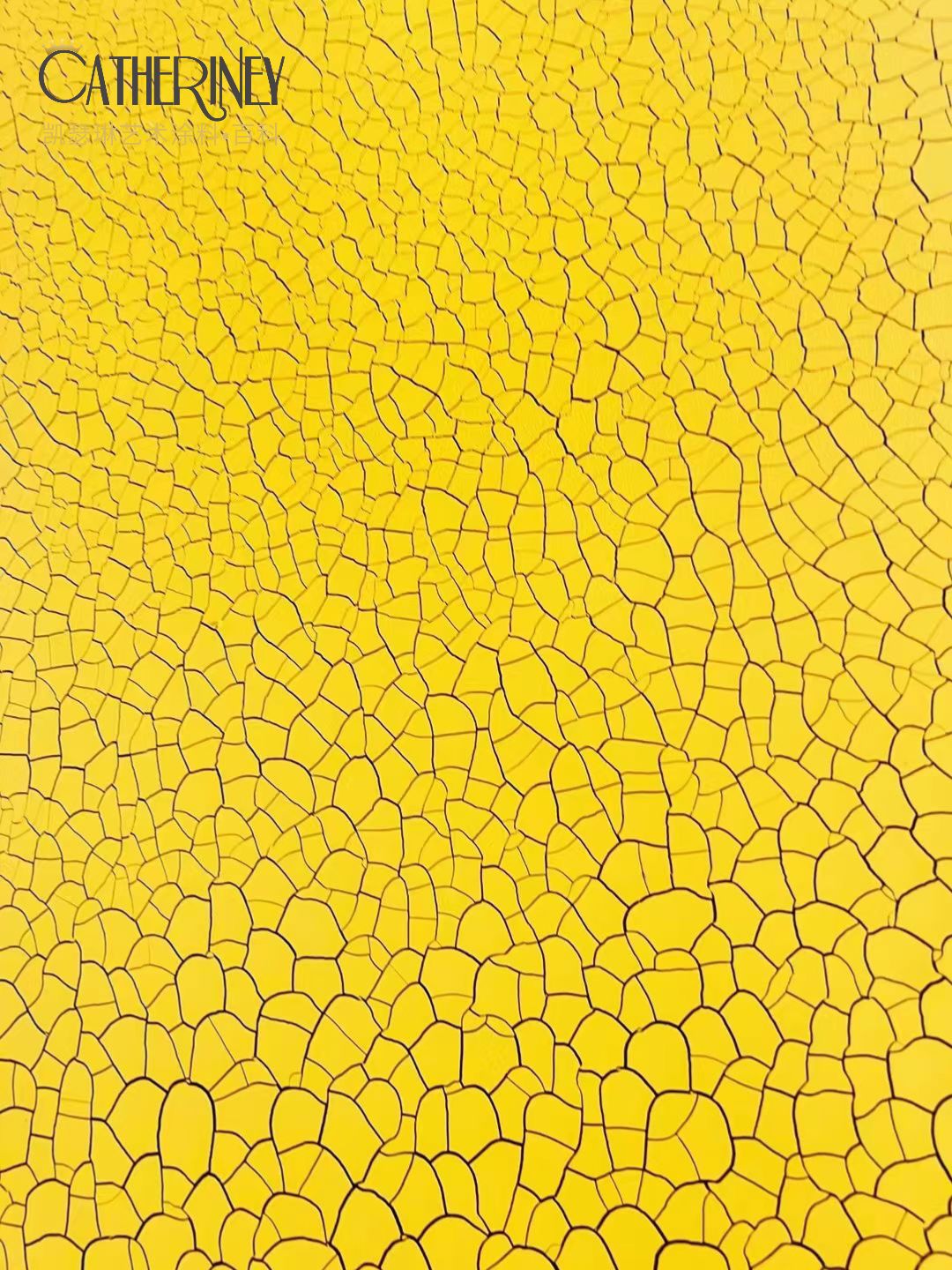 20240109174128_45202.jpg 20240109174128_45202.jpg