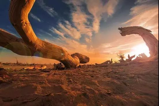 甘肃为啥成为亚洲最佳旅游地？（4）