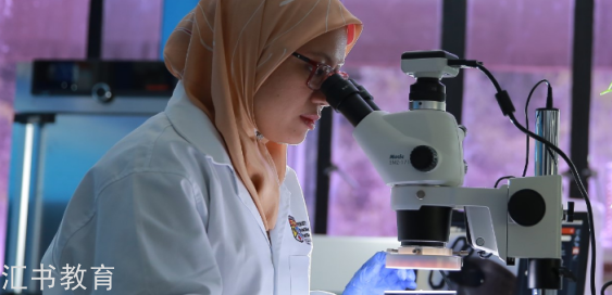 20250809131249_20616.png image.png