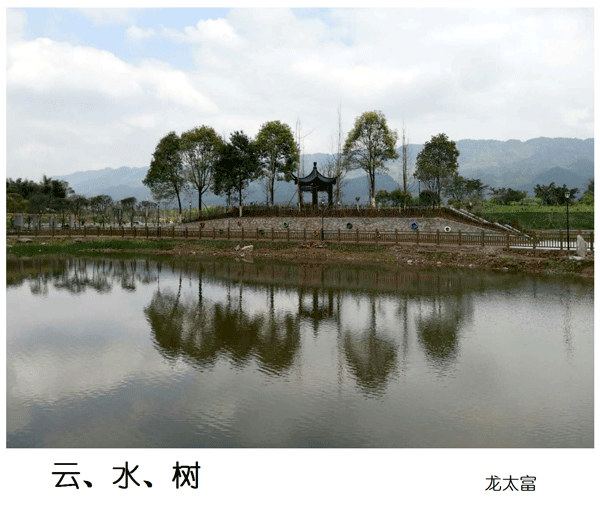 2019上期摄影班学员龙太富作品1