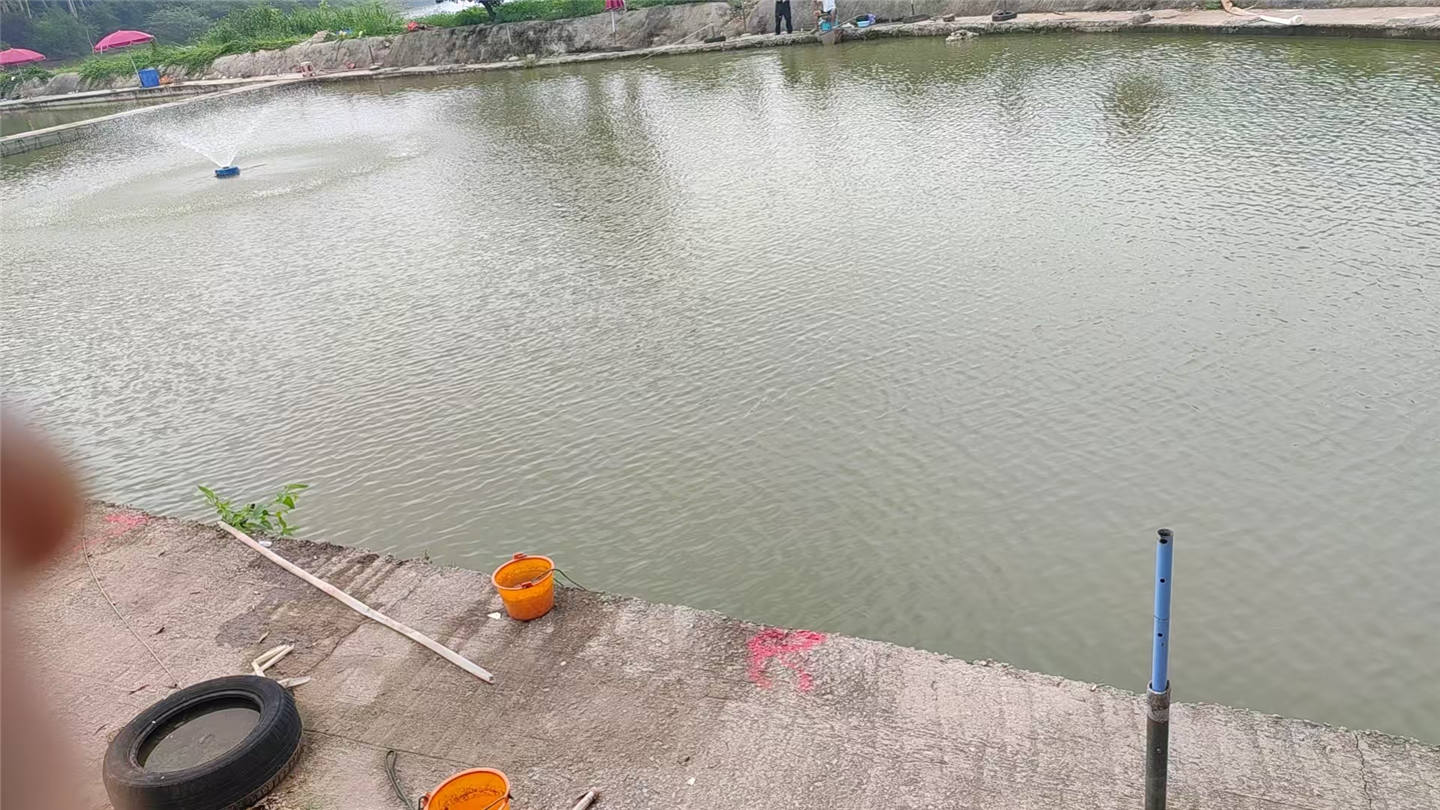 珑缘钓鱼场