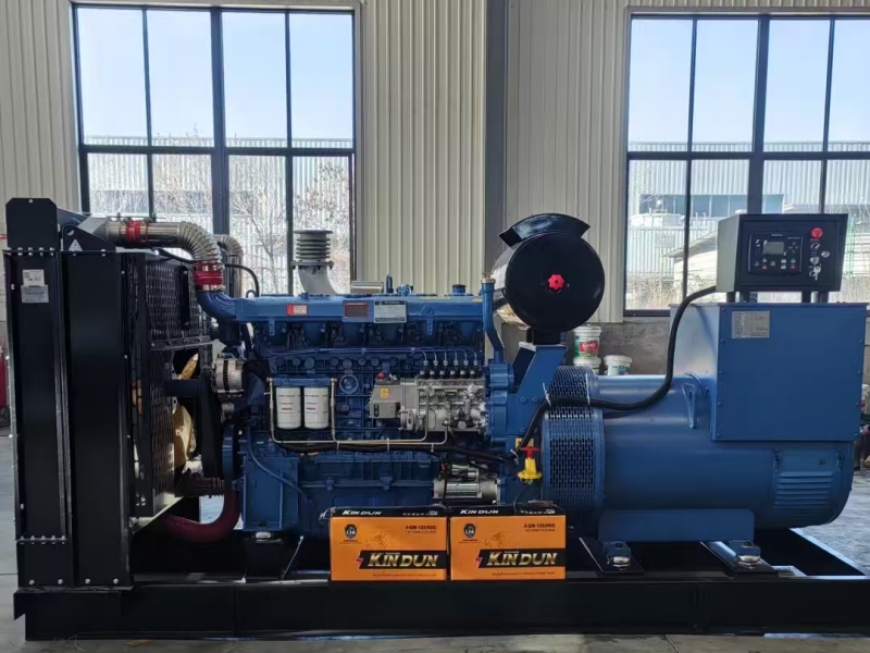 使用发电机时如何预防一氧化碳 （CO） 中毒?