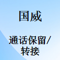 国威GW200/GW400/GW800/GW1000/GW1600-通话保留-通话转接