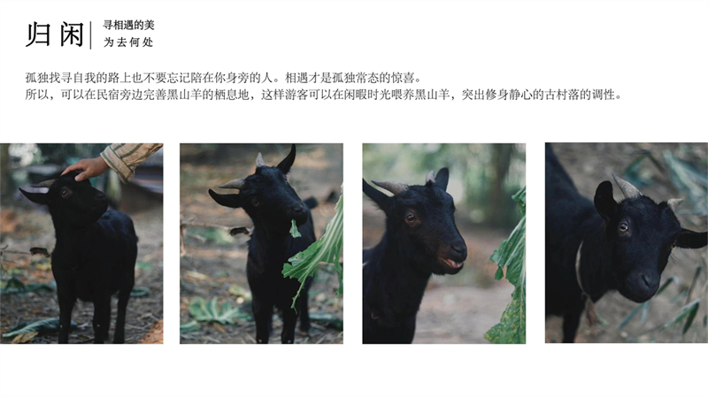 2011501027张婷婷 三卿村文宣_22.jpg