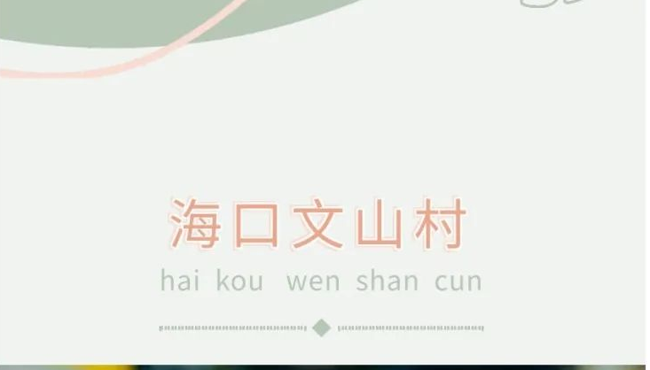 海口文山村