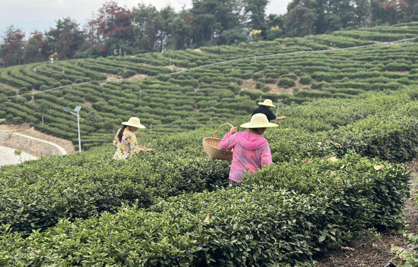 20240923161447_30279.png 9234.png