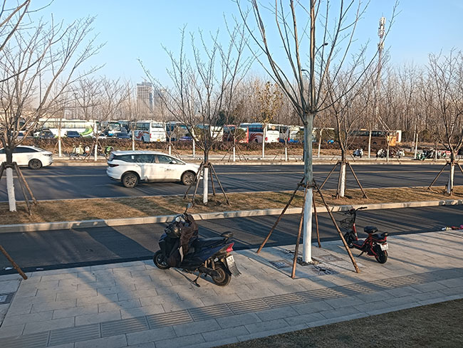 大巴车租赁案例展示