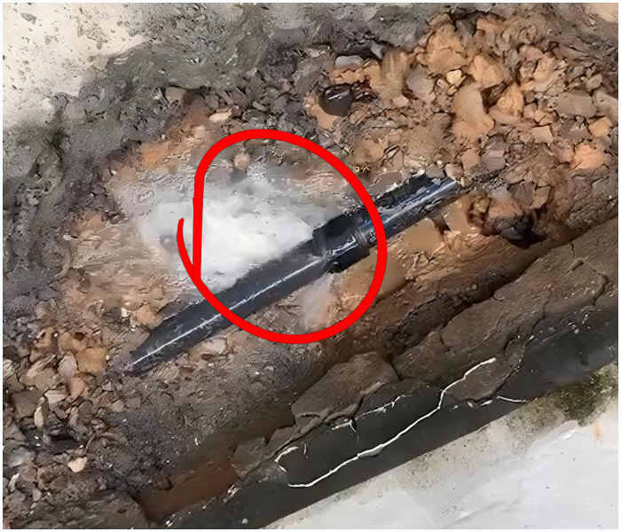 20251122214238_35686.jpg 1747210254090(1).jpg