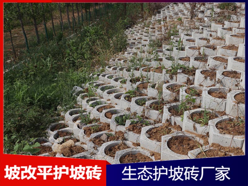 高速公路边坡坡改平护坡砖工程案例