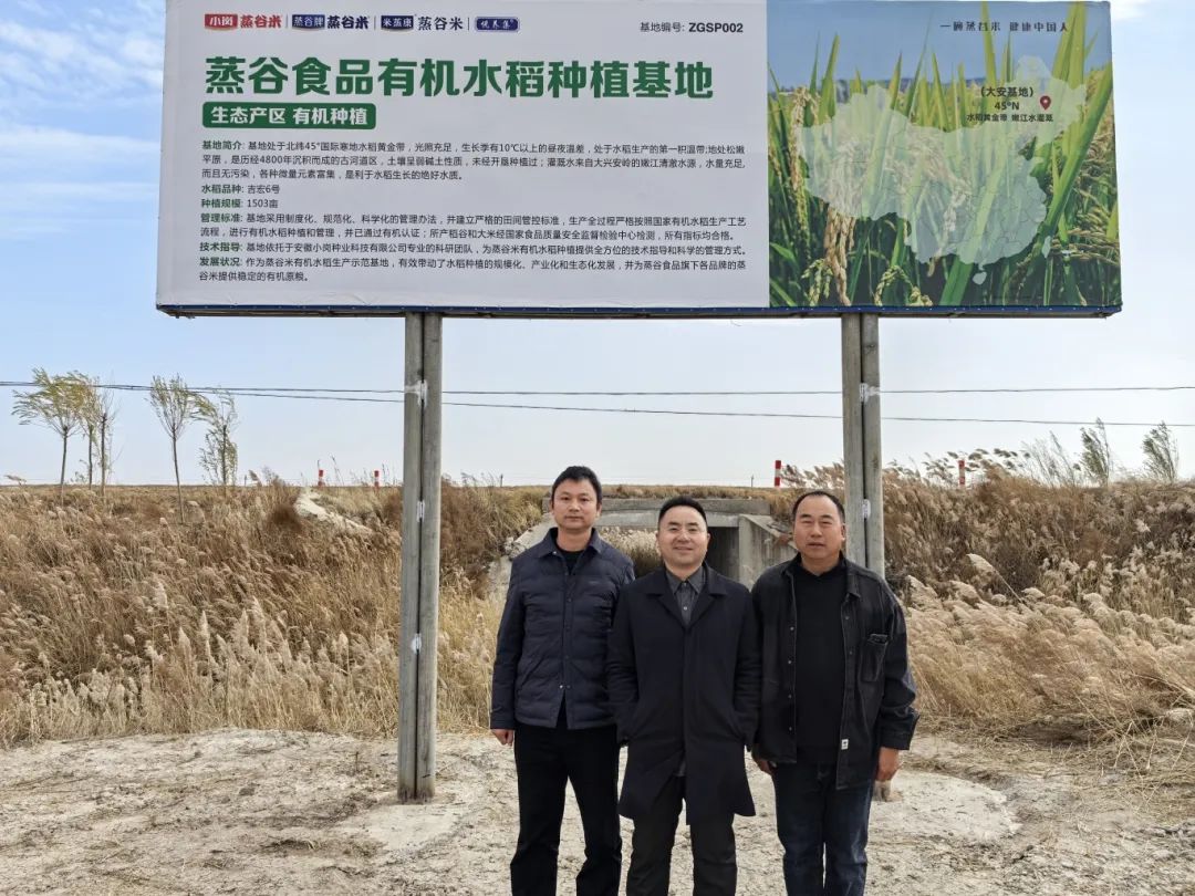 20241025140334_42706.jpg 01.jpg