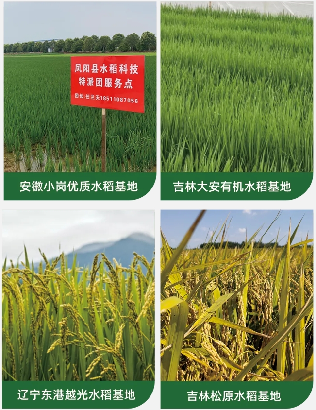 20241115153605_13705.png 07.png