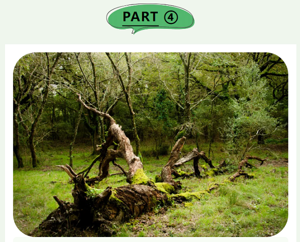 20240403164408_95954.png 70998ca2ddf35aa85922fff48459944.png