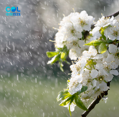 20240419160636_61200.png c6b9ebc85c275c9bda5acdfe7654fff.png