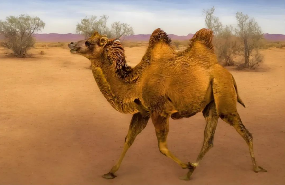 20250701162354_96212.png image.png