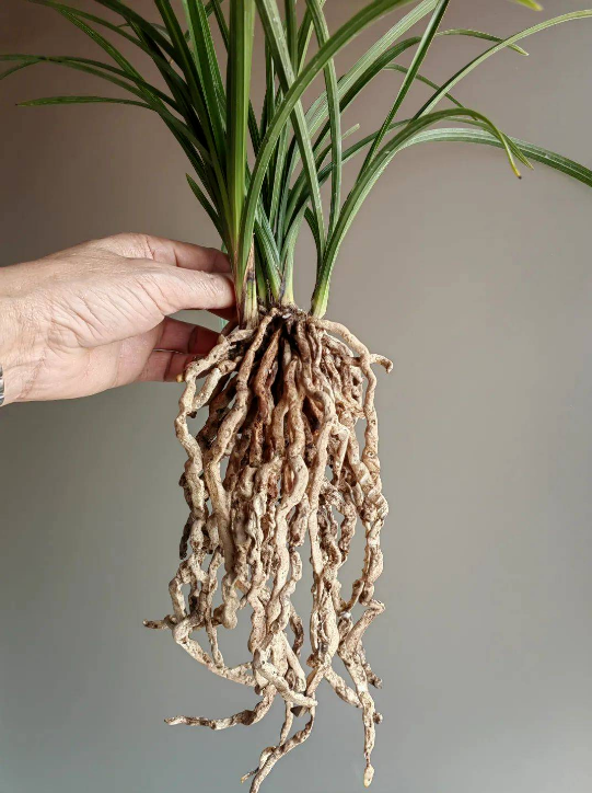 20260327161257_11488.png image.png