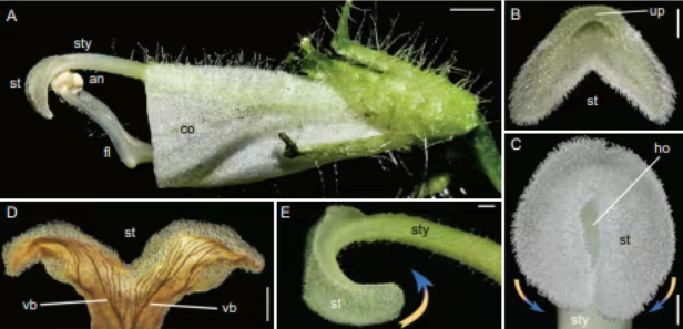 20260327163545_83574.png image.png