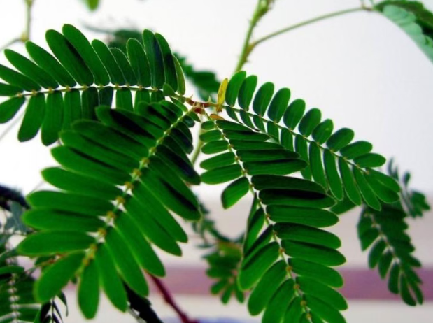 20260327163708_84954.png image.png