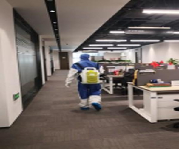 合肥写字楼除虫灭虫