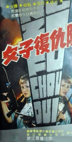 《女子复仇队》国产1991年拍摄电视剧