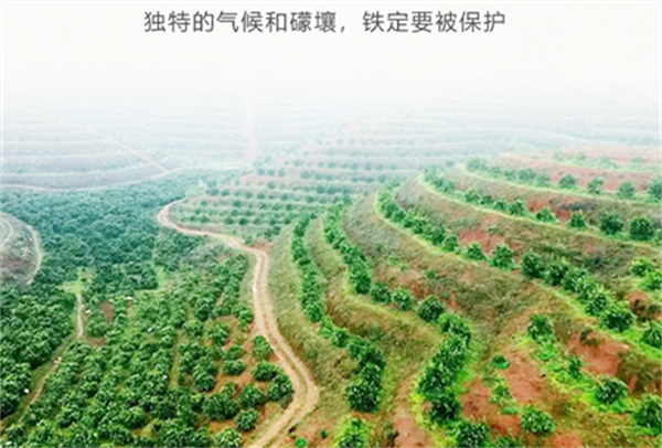 20210912123320_89821.png 橘红 橘祥福8.png