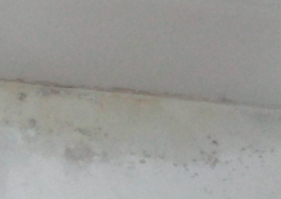 20230505161920_41909.png 1683274755632.png