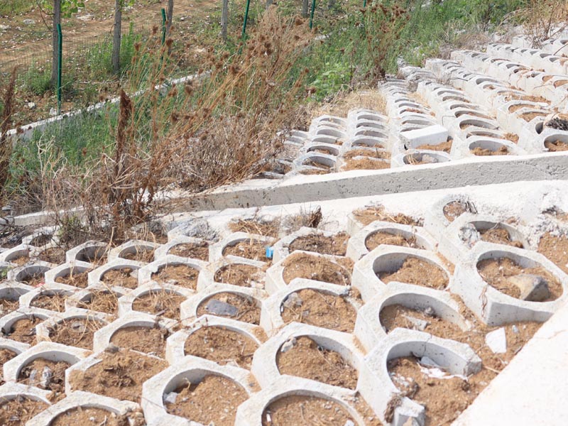 20250806221312_94754.jpg 109.jpg