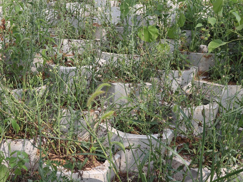 20250806221949_53096.jpg 59.jpg