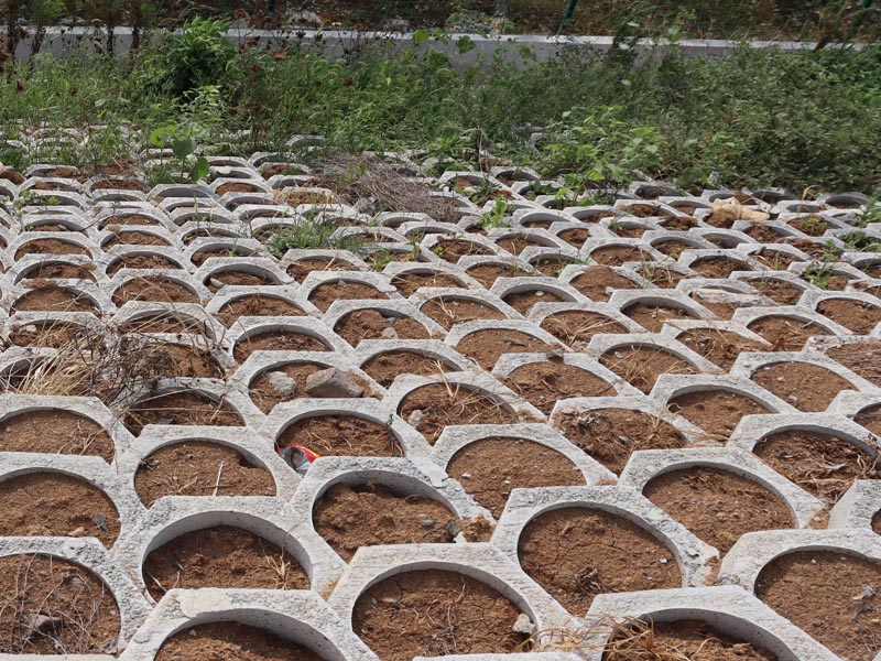 20250807165952_71439.jpg 100.jpg