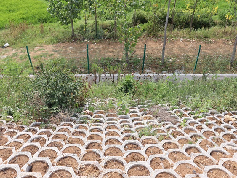 20250807171914_89137.jpg 114.jpg