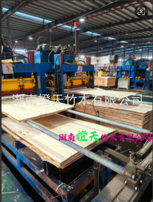 20241205104716_23676.png image.png