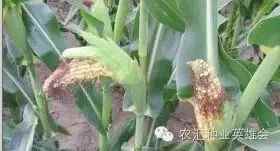 微信圖片_20220610110557.jpg