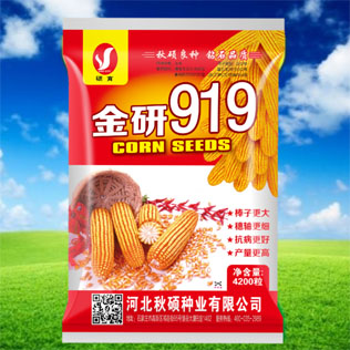 Cloud Zoom small image