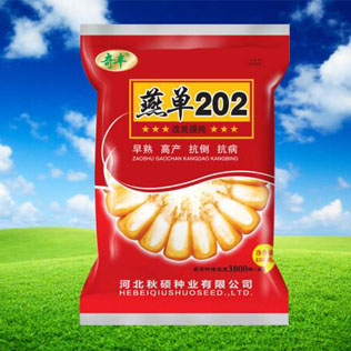 Cloud Zoom small image