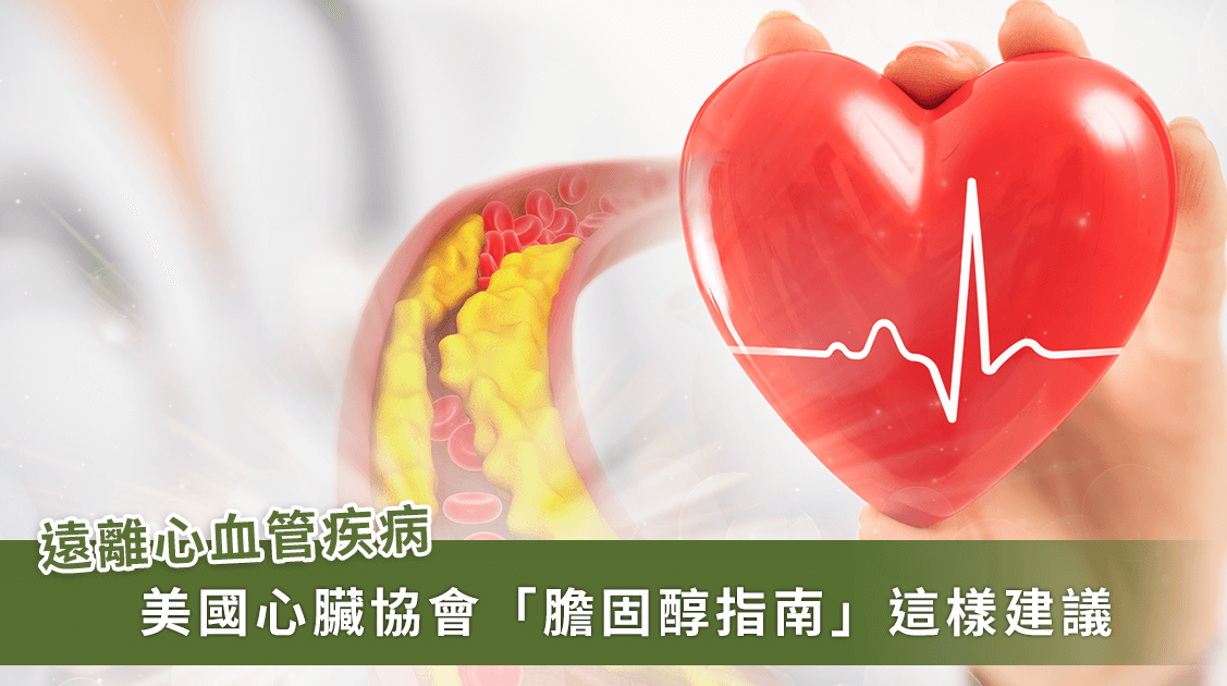 如何管理壞膽固醇？跟著美國心臟協會膽固醇管理指南避免血栓
