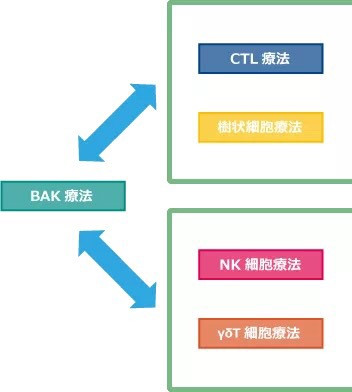 BAK疗法 | 免疫疗法简介、流程 BAK疗法 | 免疫疗法简介、流程