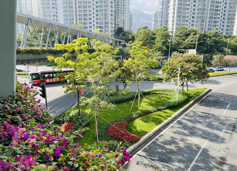 道路綠化