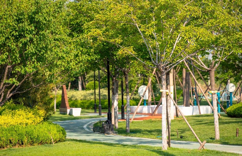 公園綠地