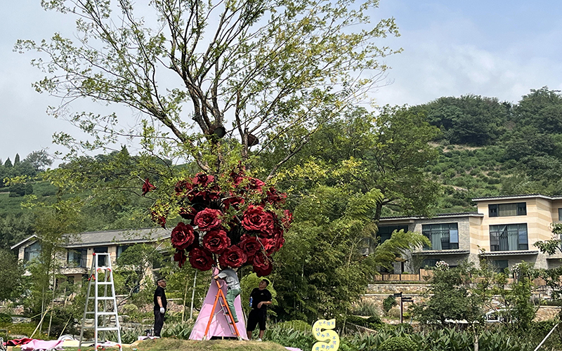 园林绿化养护等级质量标准