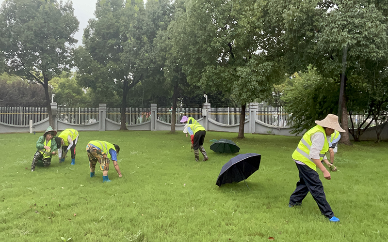 绿化工程包含哪些内容