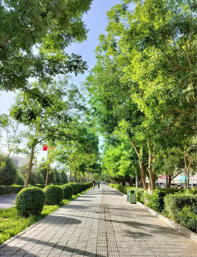 道路公路xiu.jpg