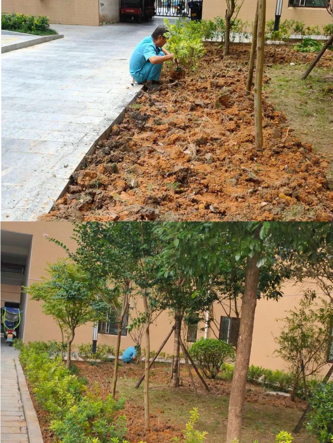 20200927140605_95908.jpg 14.jpg