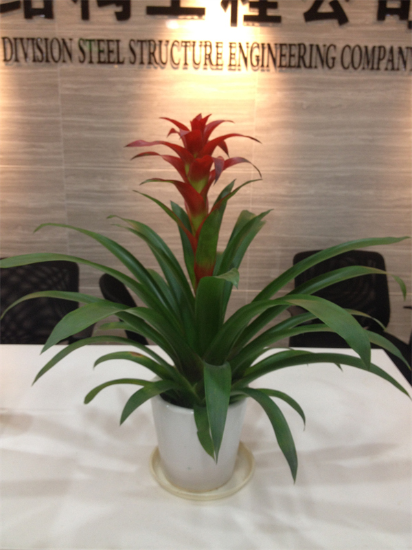 Cloud Zoom small image