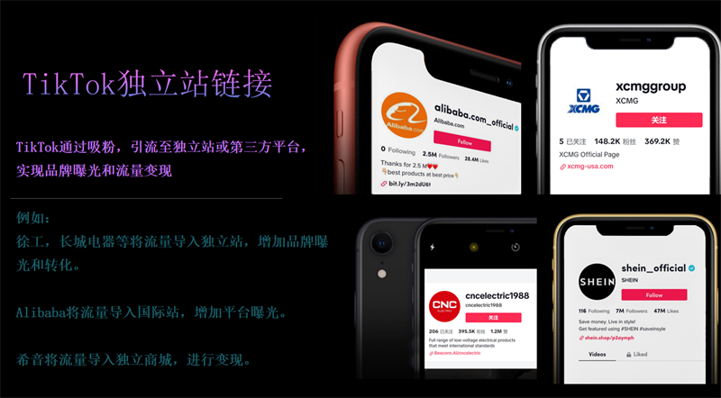 tiktok独立站链接.jpg