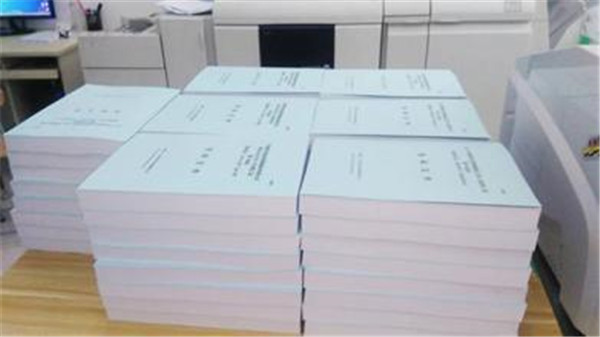 纸质版标书案例